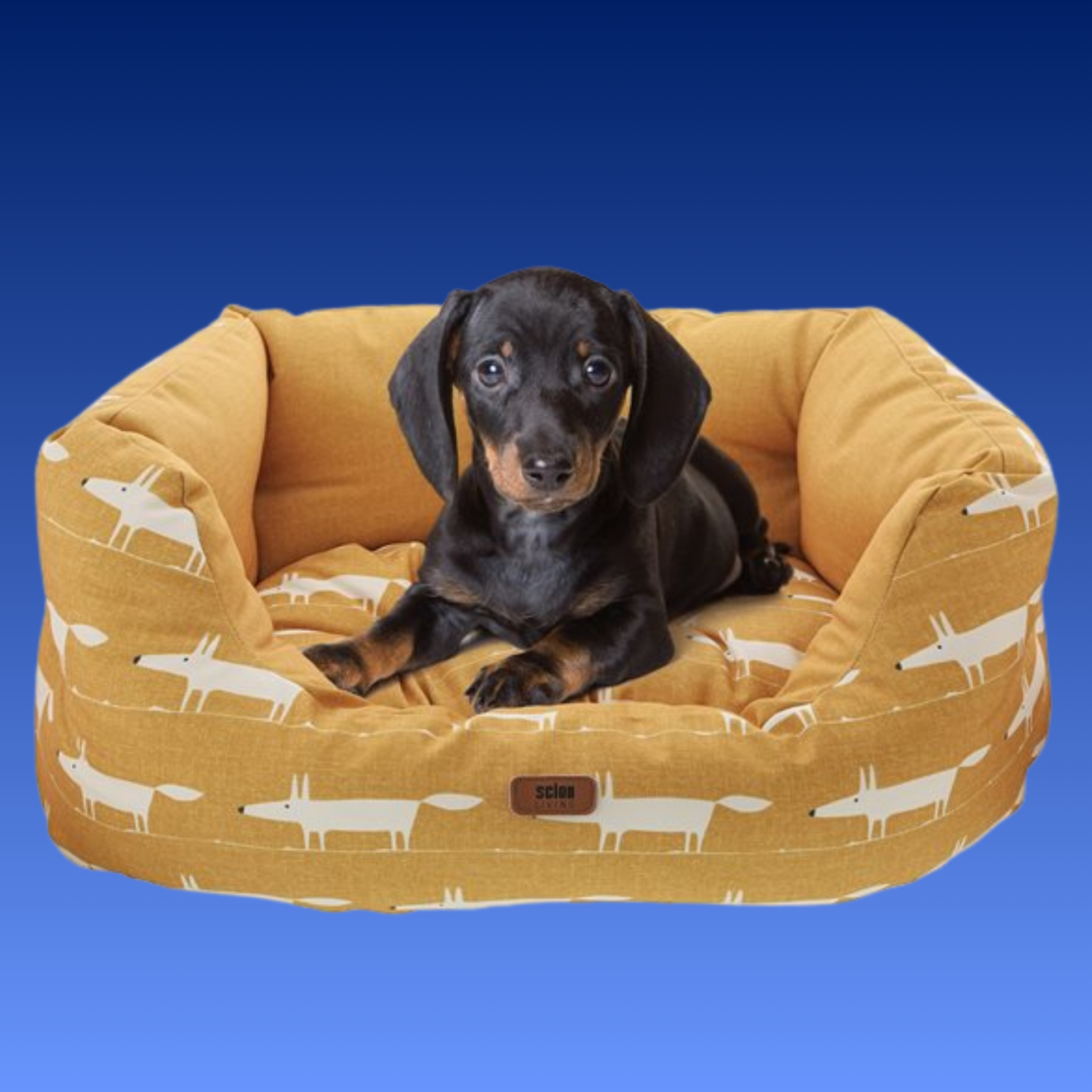 DOG BED