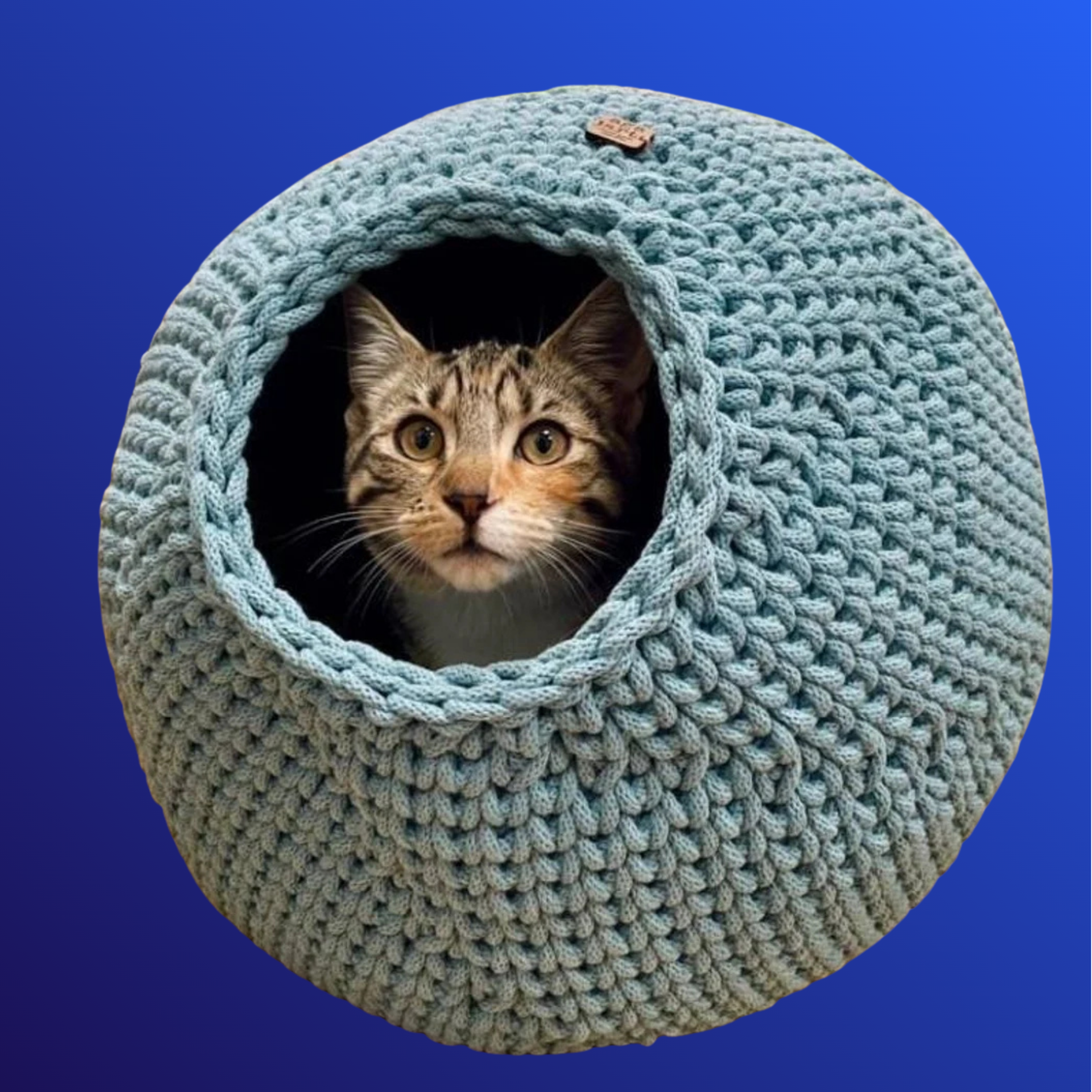 CAT BED