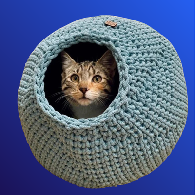 CAT BED