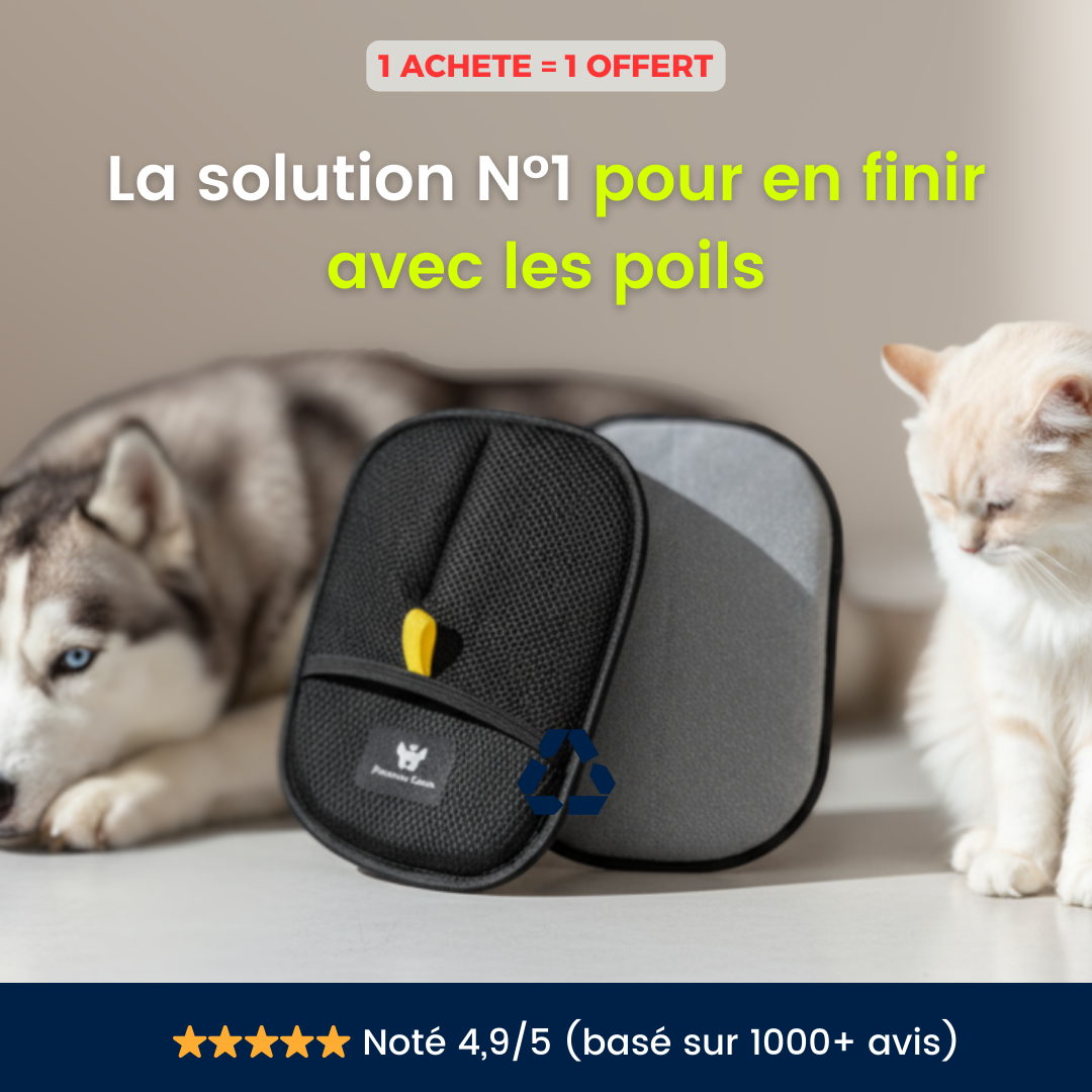 FurHero - Le gant réinventé qui fait disparaître les poils en un instant