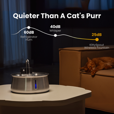 Wireless Fountain 2.0