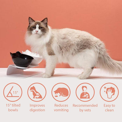 Anti-Vomiting Orthopedic Cat Bowl