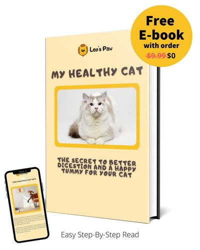 Anti-Vomiting Orthopedic Cat Bowl