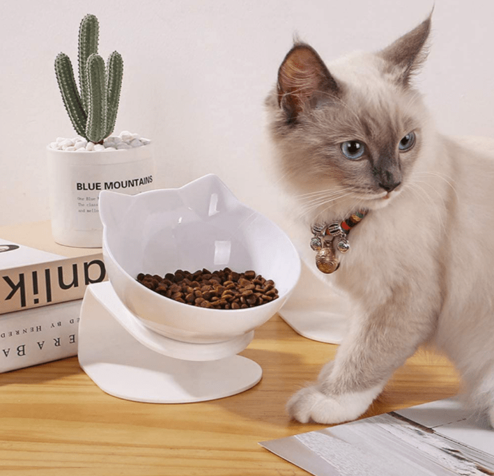 Anti-Vomiting Orthopedic Replacement Bowl