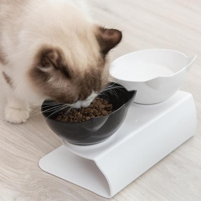 Anti-Vomiting Orthopedic Replacement Bowl