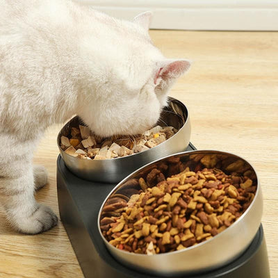 Anti-Vomiting Stainless Steel Cat Bowl