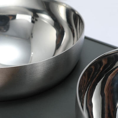 Anti-Vomiting Stainless Steel Cat Bowl