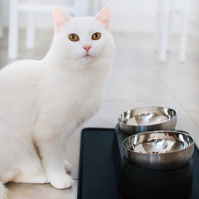 Anti-Vomiting Stainless Steel Cat Bowl