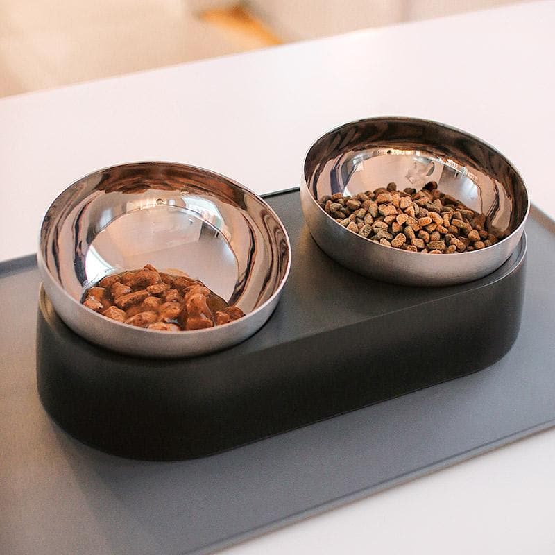 Anti-Vomiting Stainless Steel Cat Bowl