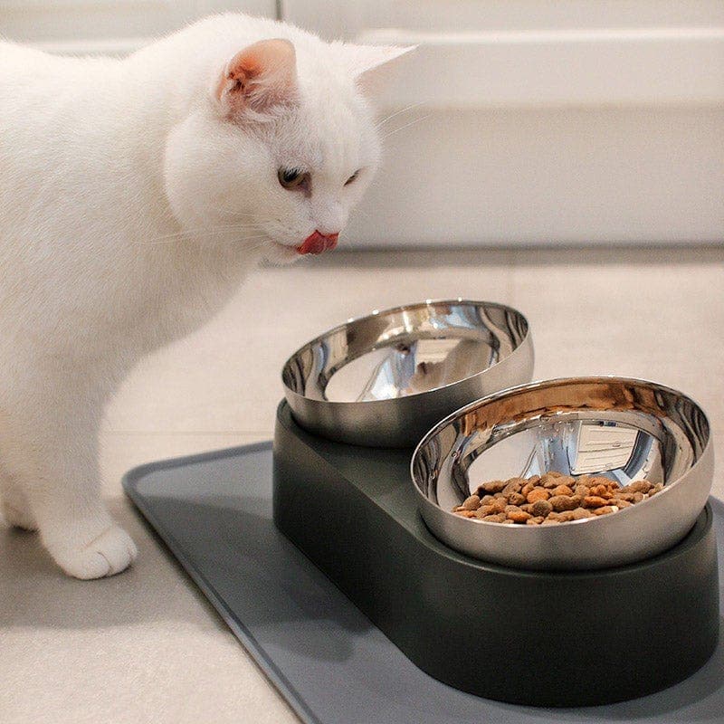 Anti-Vomiting Stainless Steel Cat Bowl