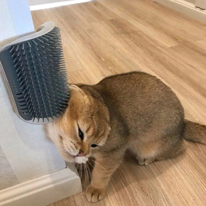Cat Corner Self Groomer