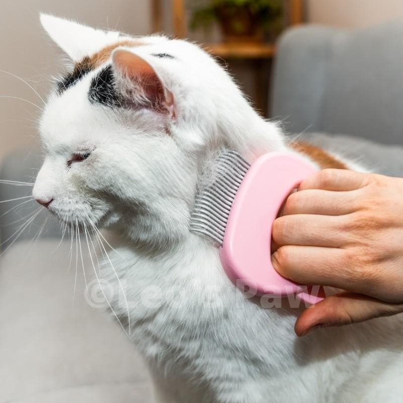 Cat Hair Removal