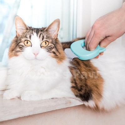 Cat Hair Removal