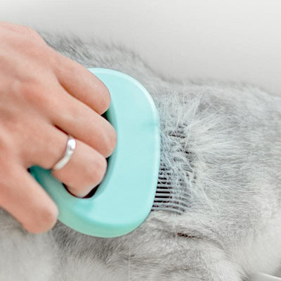 Cat Hair Removal