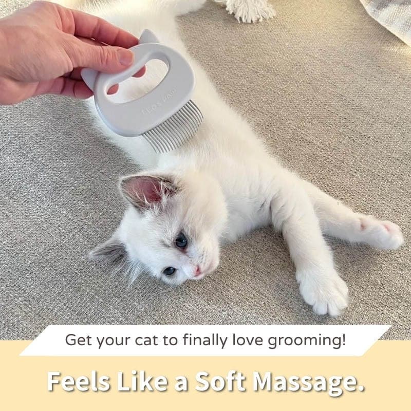 Cat Hair Removal