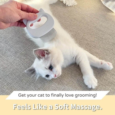 Cat Hair Removal