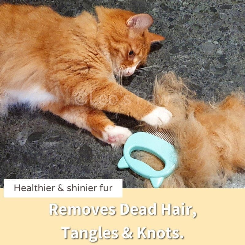 Cat Hair Removal