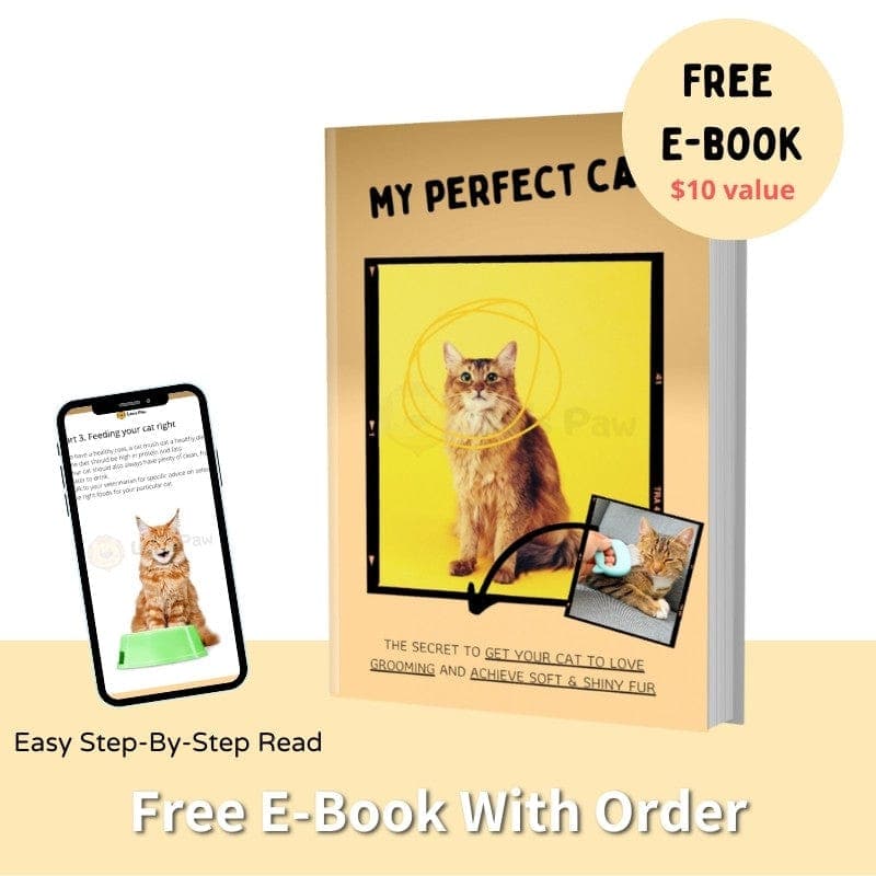 Cat Hair Removal