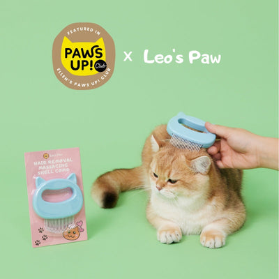 Cat Hair Removal