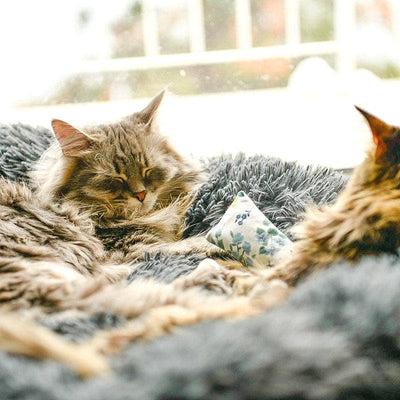 Fluffy Cat Bed