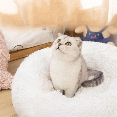 Fluffy Cat Bed