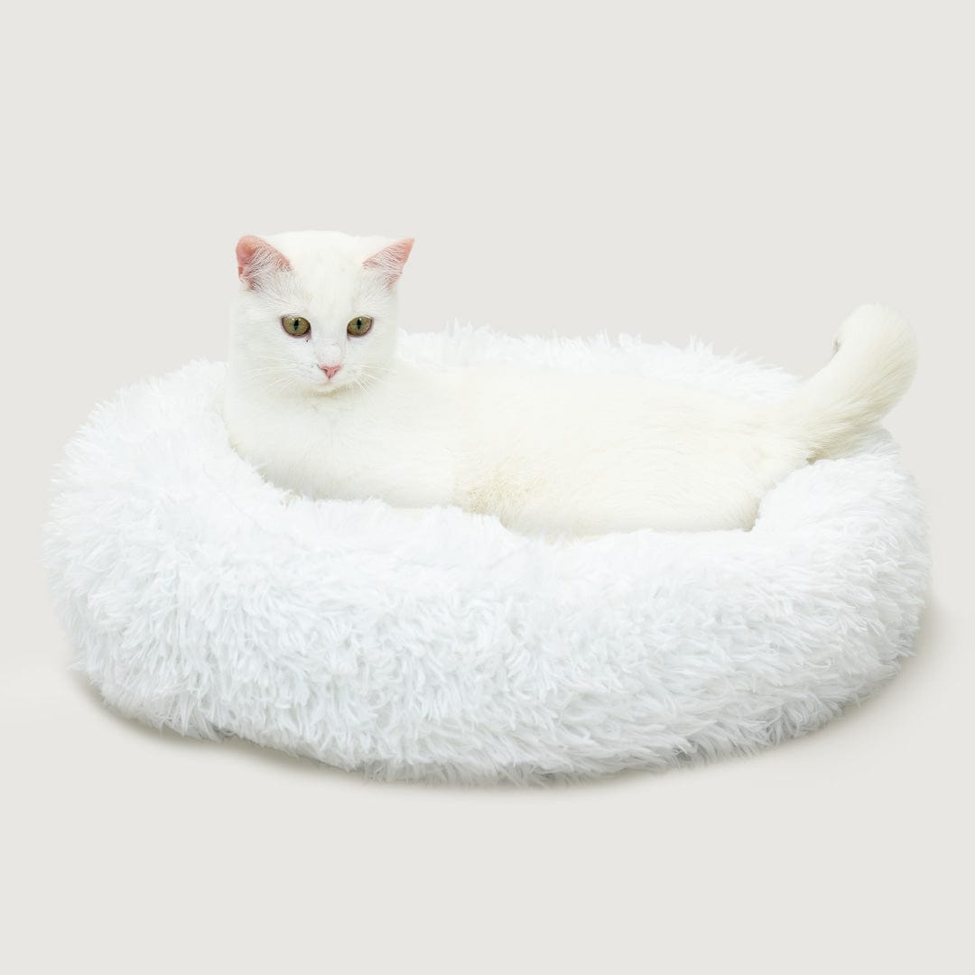 Fluffy Cat Bed