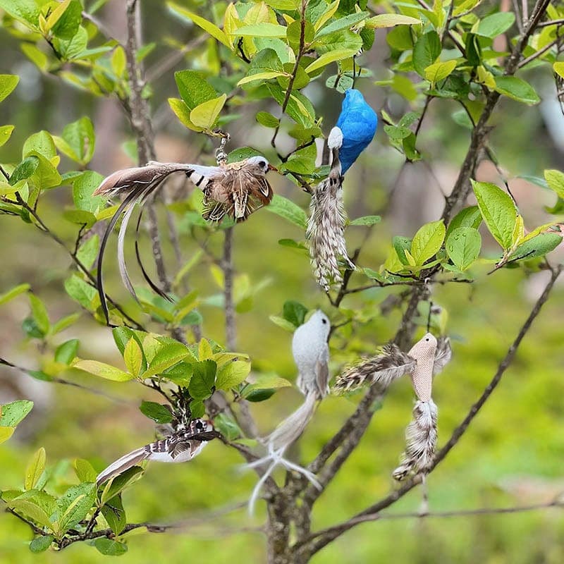 Replacement Birds (for Interactive Bird Simulation Cat Toy Set)