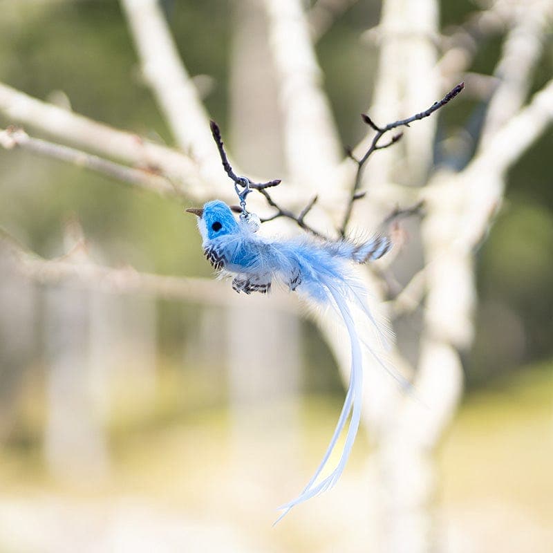 Replacement Birds (for Interactive Bird Simulation Cat Toy Set)