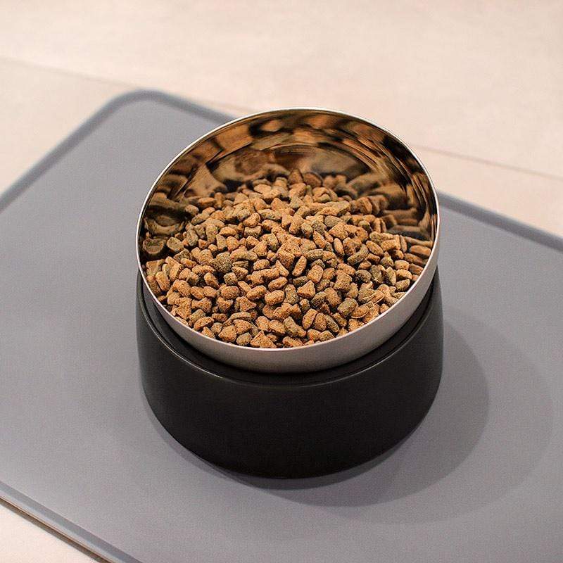 Anti-Vomiting Stainless Steel Cat Bowl