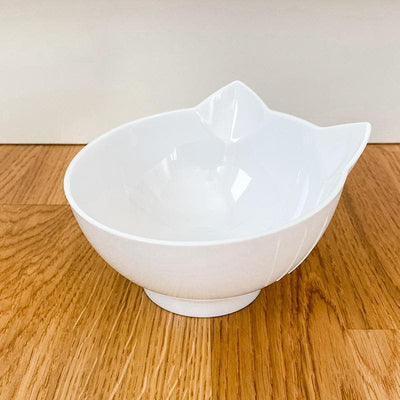 Anti-Vomiting Orthopedic Replacement Bowl